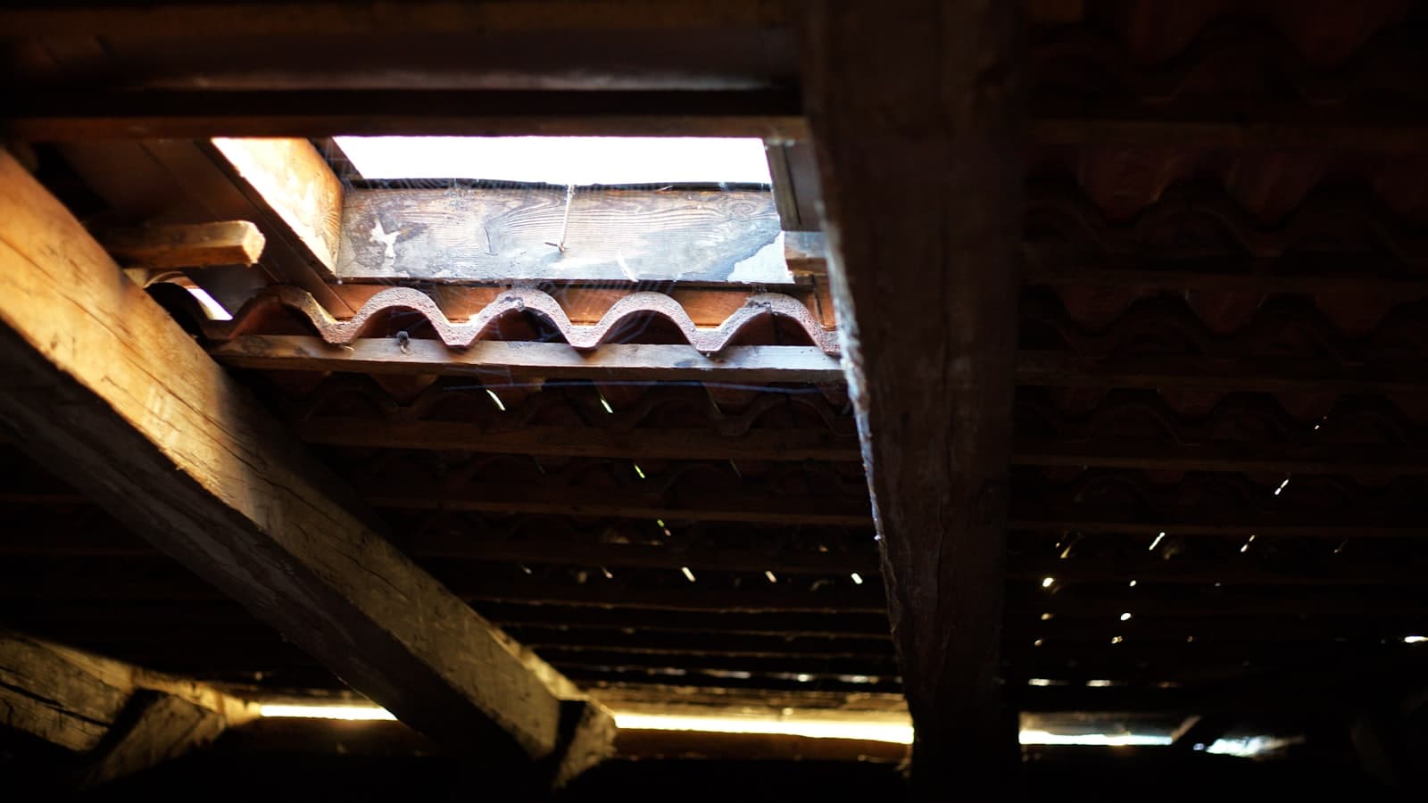 Roof framing seen from inside